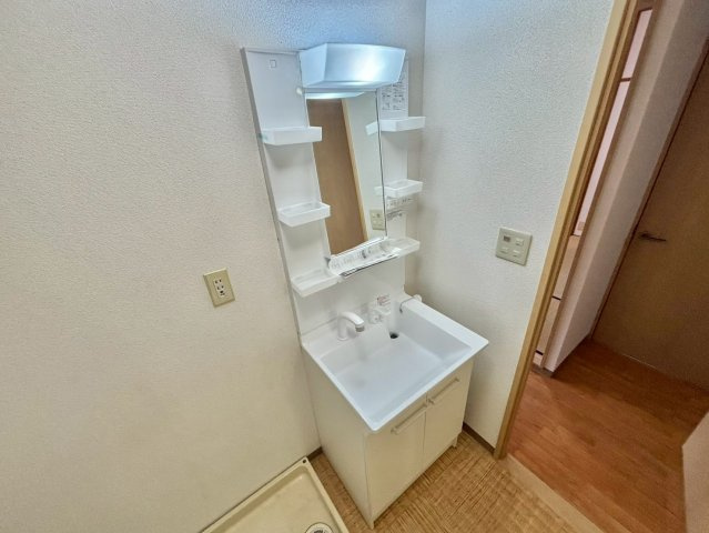 ハイツメロディの洗面所