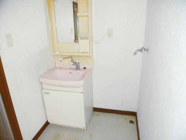 ハイツグレイスF棟の洗面所