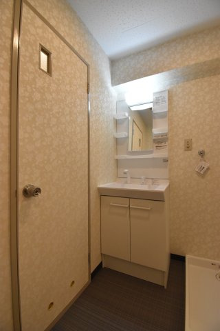 スカイハイム大喜の洗面所