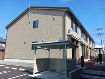 サンフラワーの画像