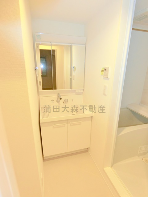 カーサ　セレーノの洗面所