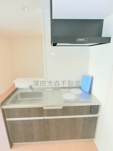 カーサ　セレーノのキッチン|2口IHシステムキッチン　カウンターキッチン