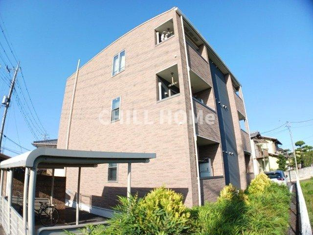 メープル　シュガー