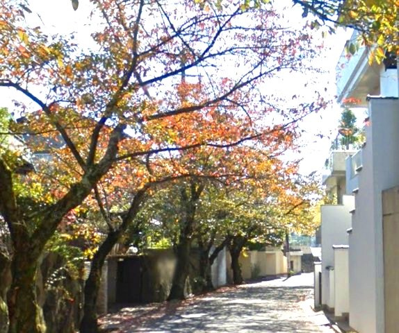 花屋敷荘園2丁目の前面道路含む現地写真|陽光あふれるこの地で叶えるマイホーム
