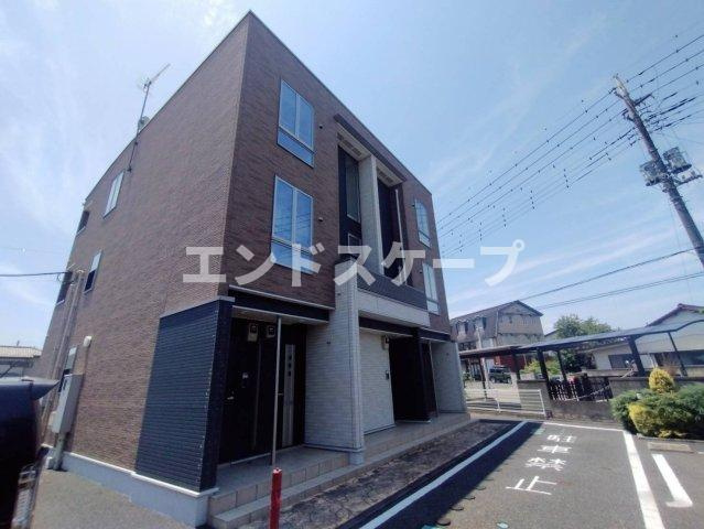 メープル　シュガー