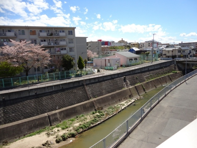 セジュール福田の展望|春は川沿いの桜がきれいですよ