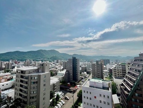クリーンリバーフィネス山鼻中央の展望