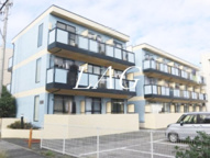 スワーラ文蔵の画像