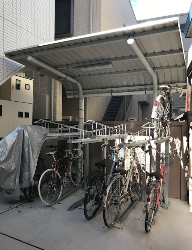 Ｈａｌｅ　Ａｒａｉのその他