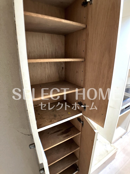  | Hils　Fujikawa