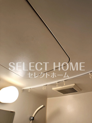 | Hils　Fujikawa