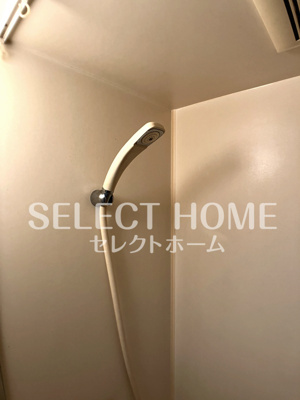  | Hils　Fujikawa