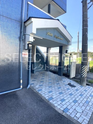  | Hils　Fujikawa
