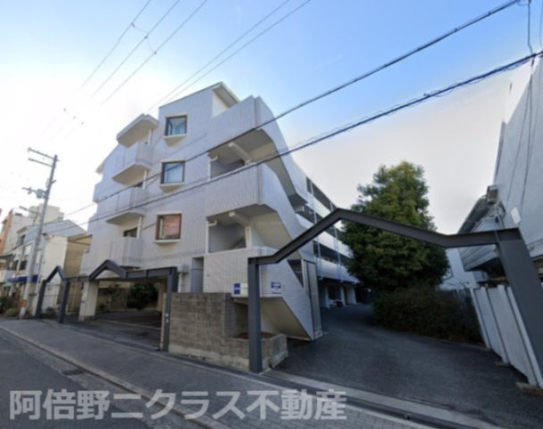 セゾンアルビレオ