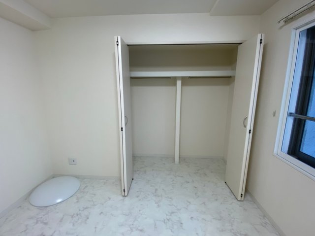 セントウレアの収納