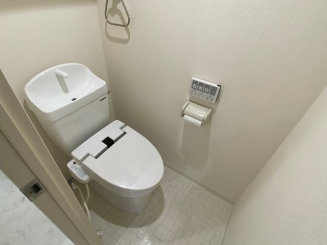 セントウレアのトイレ