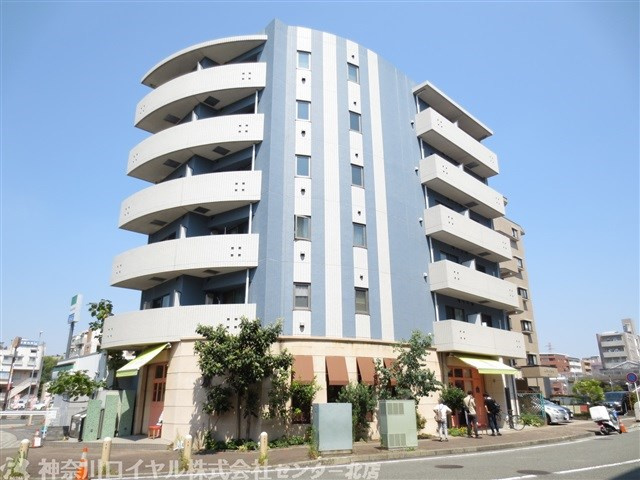 ベニシアの画像