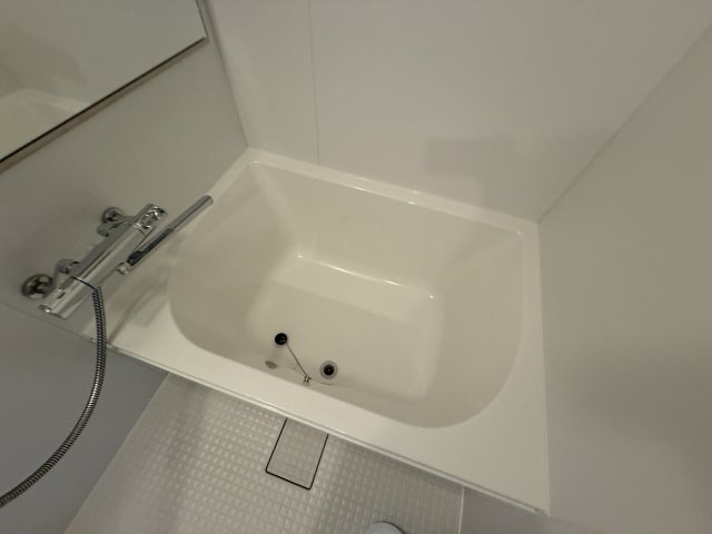 LaDouceur豊中南の浴室