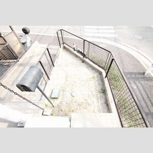 SUN　RAPPORTの庭