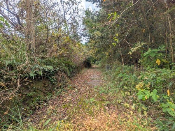 大字丹川　土地の前面道路含む現地写真|前面道路含む現地(2025年11月撮影)