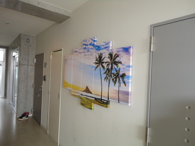 【その他】 | コモド若葉