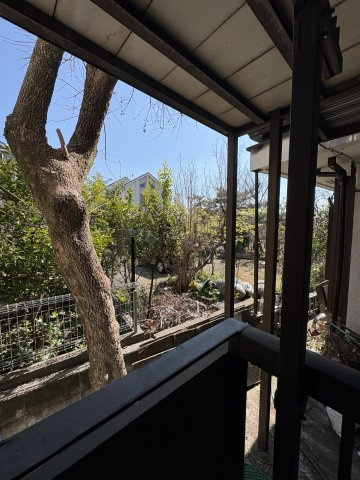 清涼館の展望