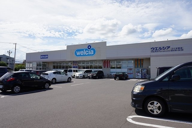 プラシードつくばＣのその他|その他