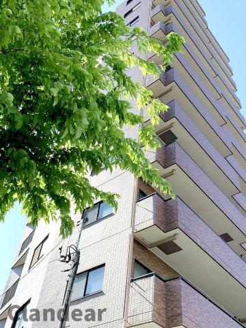 グランベルフォーシーズンズタワーの外観|ドキドキの新生活も、安心してスタート。ぴったりの住まいを見つけませんか？クランディアが一緒に住まい選びをサポートします‼　まずは、お気軽にお問合せください　＃クランディア