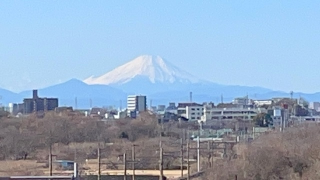 サンライフ東川口