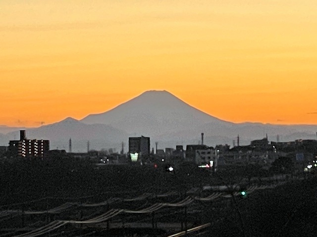 サンライフ東川口の展望|お部屋から富士山を望めます！