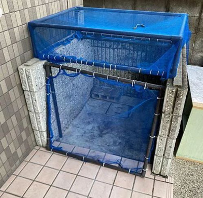 | セレーン城跡