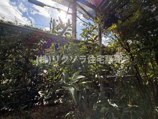さんくれーる茨木C棟の展望|専用庭
■物件内覧・資金計画相談・住宅ローン相談、リフォーム相談、お問合せ受付中■
※当日・翌日のご内覧、ご相談はお電話でのお問合せがスムーズです！