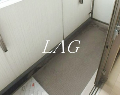 【バルコニー】 | ガラ・シティ大森 | バルコニーです。