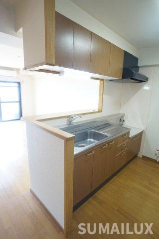 熊本市南区田井島１丁目の賃貸マンションのキッチン|写真は反転タイプになります。
