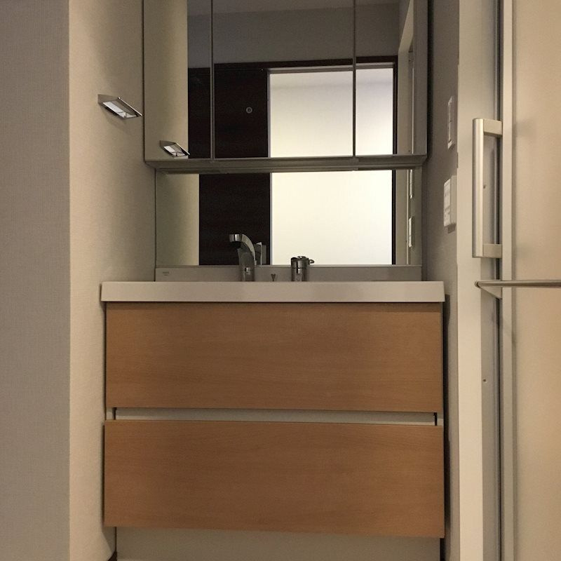 リアンの洗面所