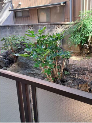 【展望】 | 荒井第三ビル