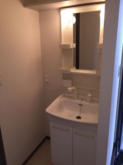 スカイハイツⅠの洗面所