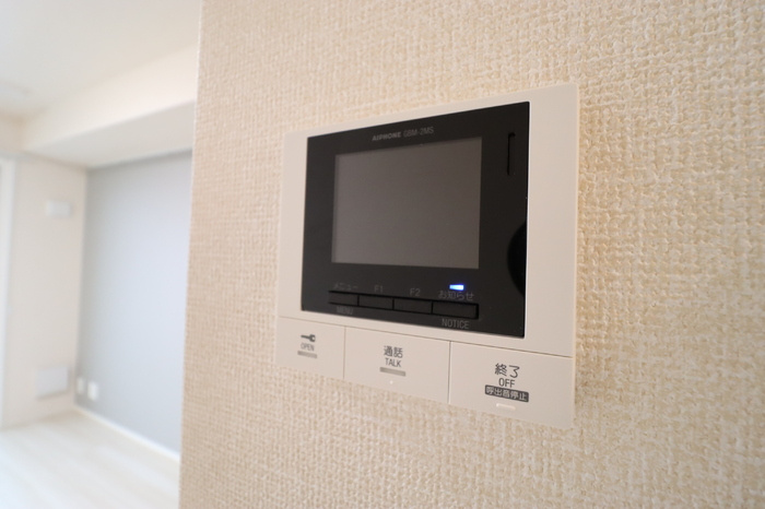 D-ROOM椿森1丁目Bのセキュリティ