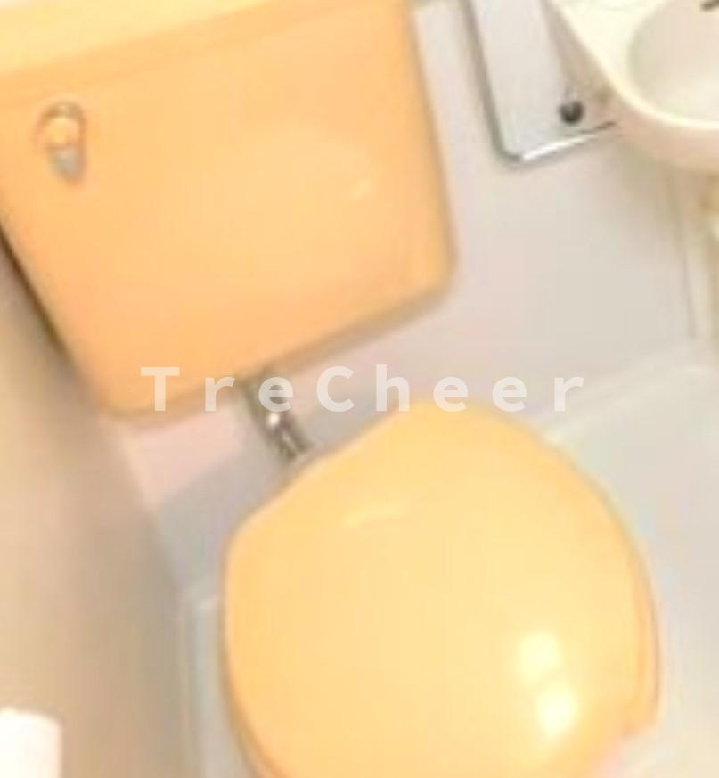 フォーレ蓮根のトイレ