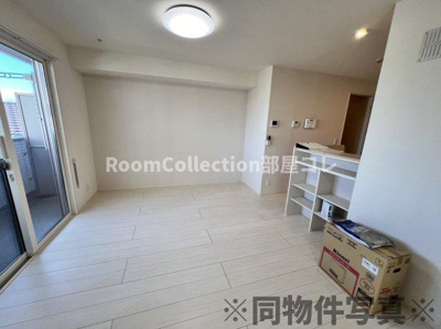 【その他】 | コーラル