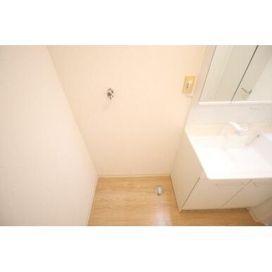 ル・ボアⅠの洗面所