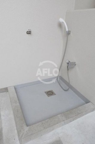 ブランズ北堀江　堀江小学校区の設備|ブランズ北堀江　ペット足洗場