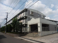 ドゥジェーム・ニイヤの画像