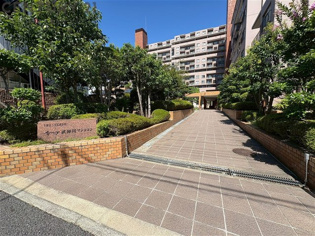 中庭