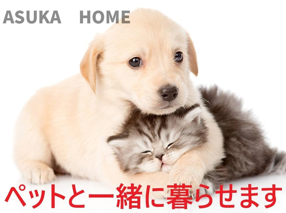 クイーンズガーデンサウスコートレジデンスの設備|大切なペットと暮らせるマンションです。
