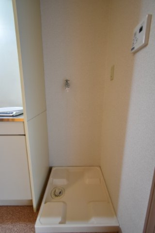 エレガンス岡崎のその他|室内洗濯機置き場