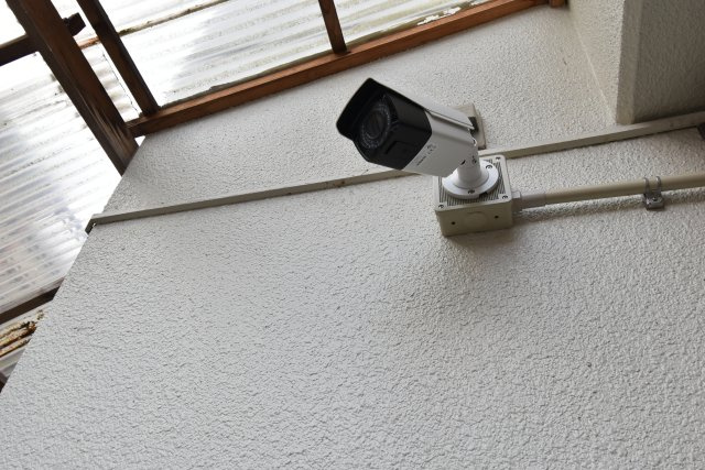 エレガンス岡崎のセキュリティ|防犯カメラ