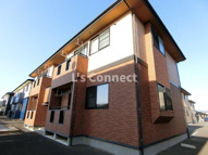 クレメンティアＣの画像