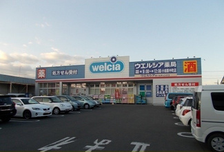 【周辺】 | エクセル寿 | ウエルシア中町店まで600m