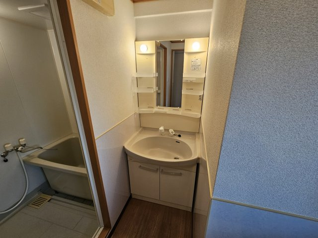 マンション美苑の洗面所